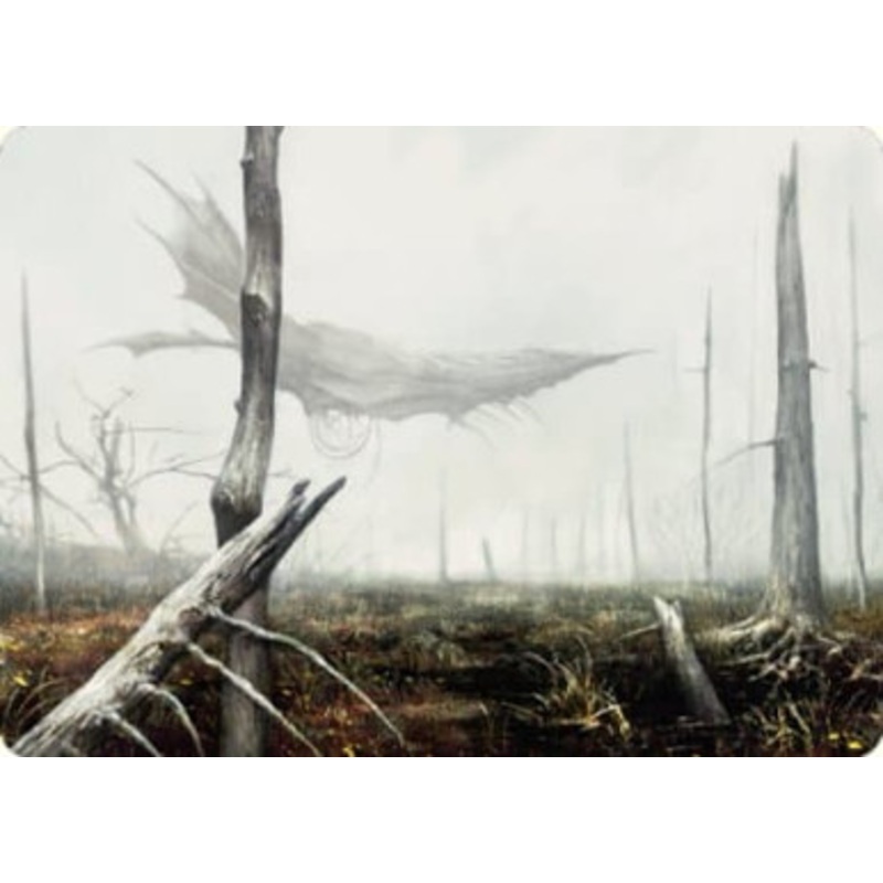 Swamp (#64) Art Card | Dominaria United