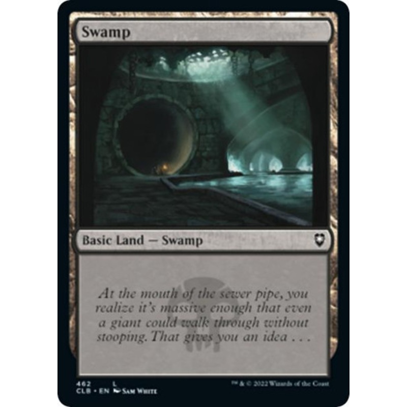 Swamp (#462)