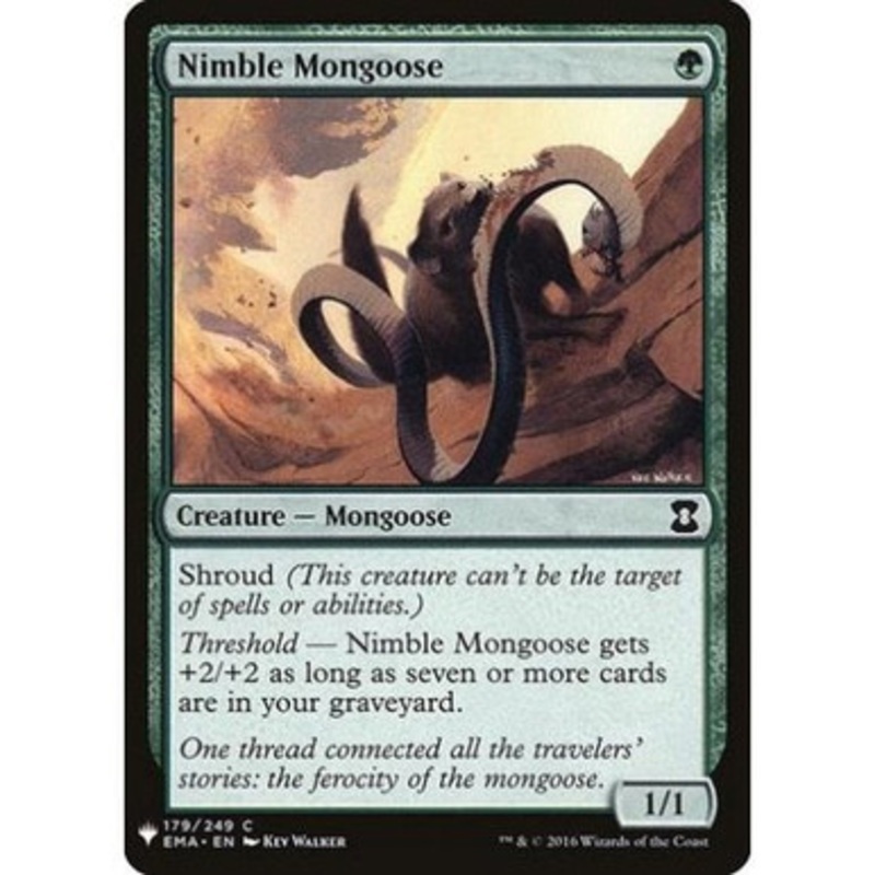 Nimble Mongoose