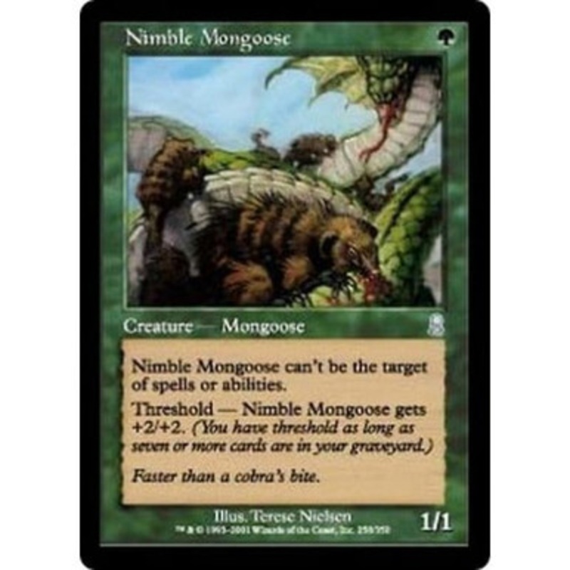 Nimble Mongoose | Odyssey