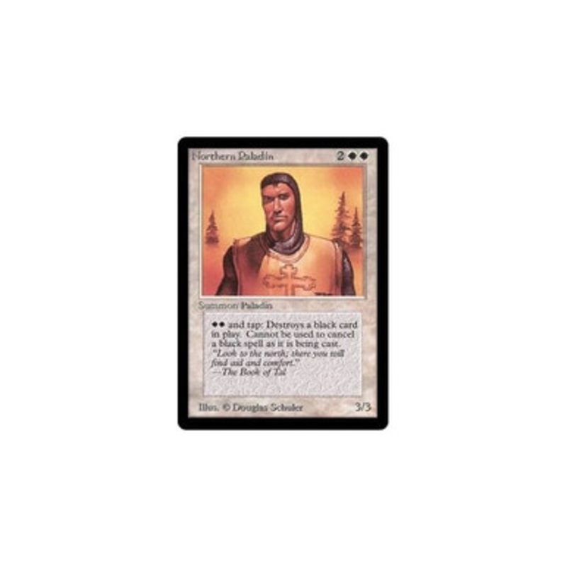 Northern Paladin | Beta