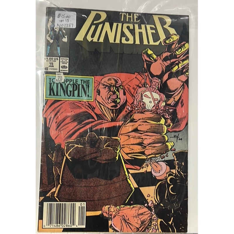 The Punisher # 15